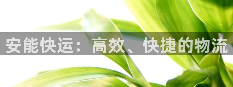 TP钱包全自动转账怎么设置