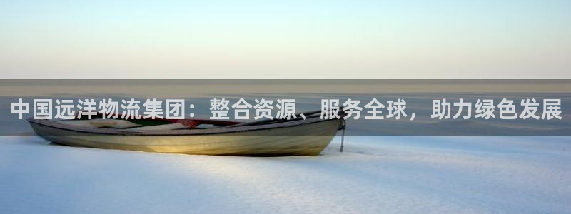 tp钱包 ios：中国远洋物流集团：