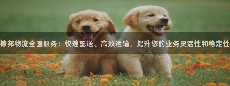 tp钱包官方版最新版本更新内容
