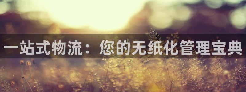 TP钱包下载最新版本更新内容：一站式物流：您的无纸化管理宝典
