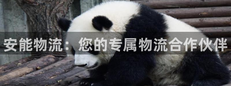 tp钱包matic：安能物流：您的专