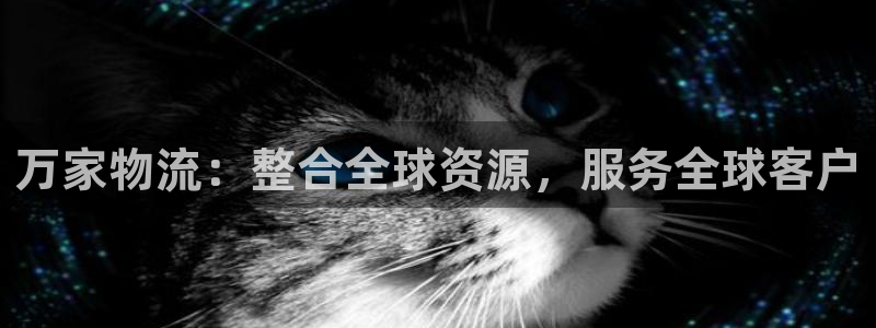 数字货币钱包tp：万家物流：整合全球资源，服务全球客户
