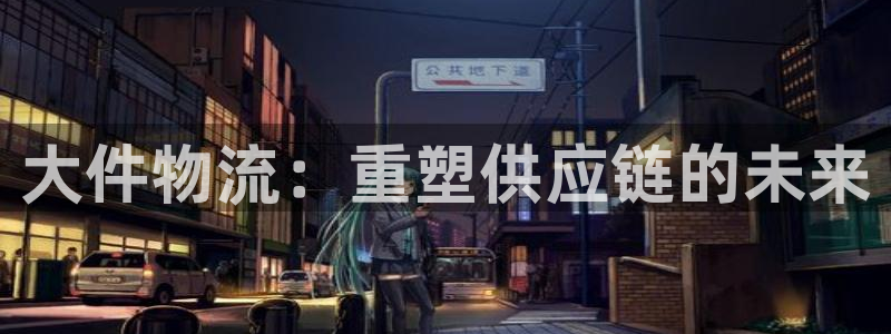 tp钱包买的币在哪里看：大件物流：重