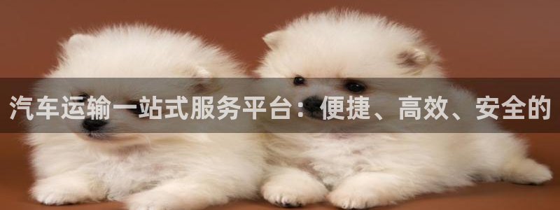 tp钱包买的货币可靠吗?：汽车运输一