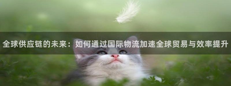tp钱包薄饼怎么看k线：全球供应链的