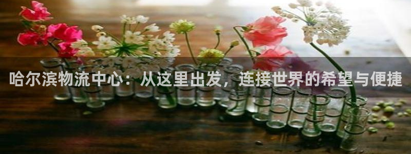 官方下载tp钱包软件：哈尔滨物流中心