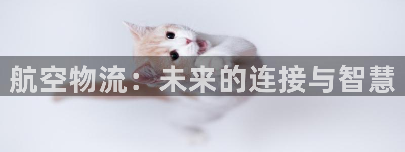 tp钱包怎么冲u：航空物流：未来的连