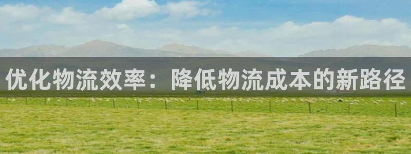 tp钱包交易密码怎么修改：优化物流效