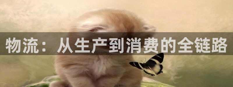 TP钱包官方服务热线：物流：从生产到