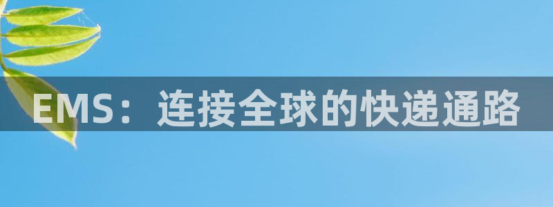 tp钱包删除了还有吗：EMS：连接全