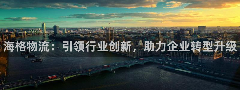 tp钱包怎么自定义代币：海格物流：引