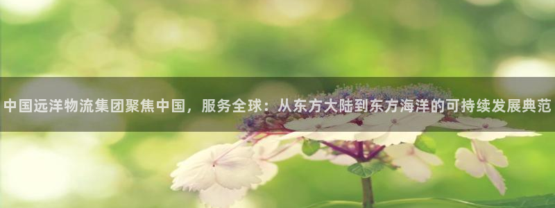 tp钱包里面的usdt怎么转成人民币