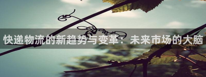 tp钱包中国区无法交易：快递物流的新