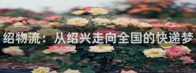 tpapanna官网：绍物流：从绍兴